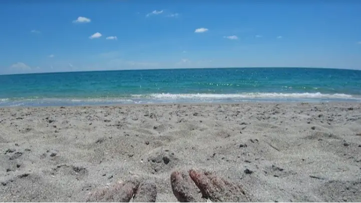 Picture of toes in Caspersen Beach sand FL