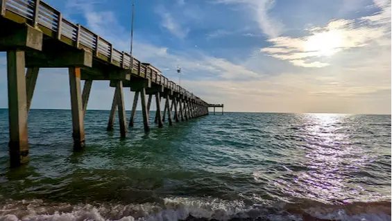 Picture of Venice Beach Pier FL