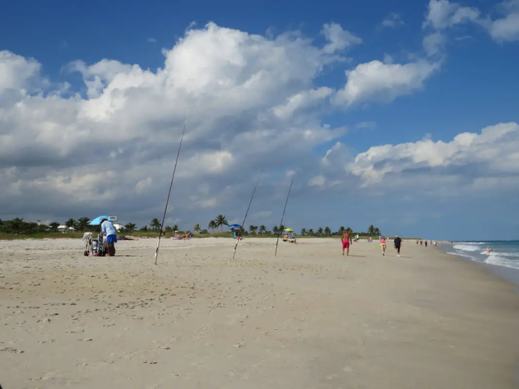 Picture of fishing poles on Vero Beach, FL