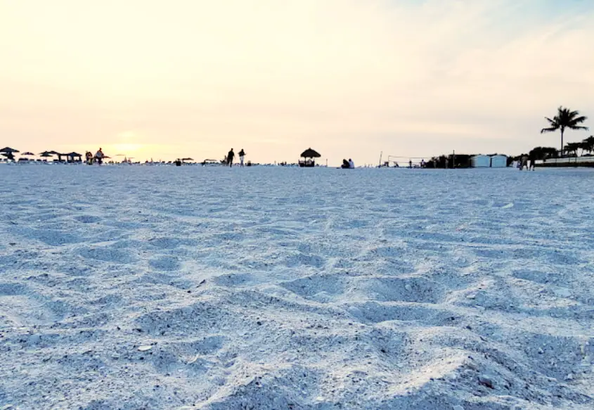 Picture of Lido Key Beach Sand