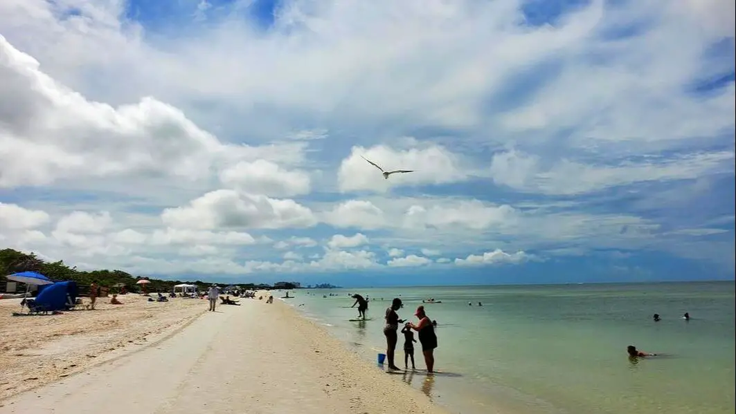 Picture of Naples Beach by Ann M Marcus
