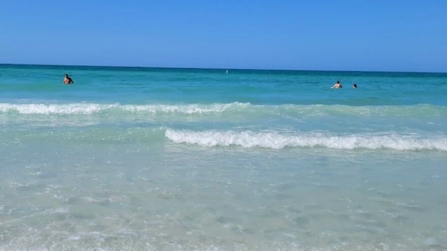 People swim at Siesta Key Gulf Beach
