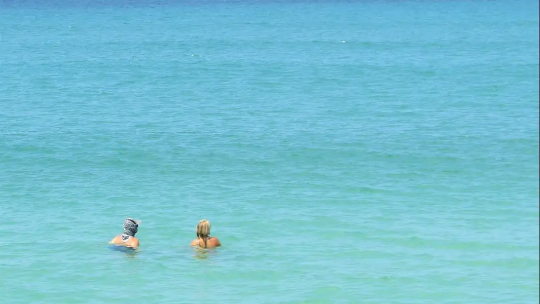 Picture of couple swimming at Clearwater Beach