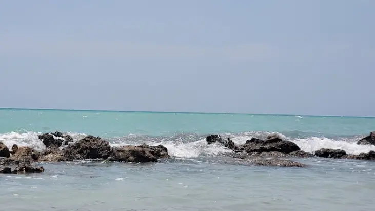 Picture of water Venice Beach FL