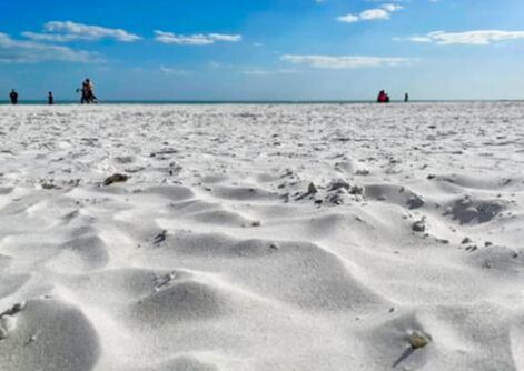 Closeup of Lido Key Beach Sand
