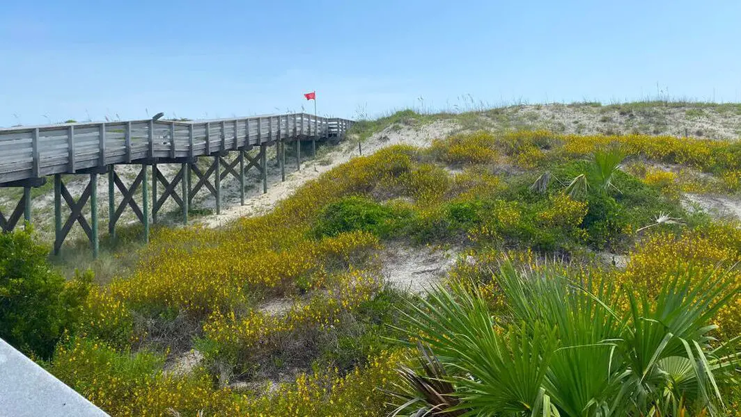 Picture of walkway to Florida beach