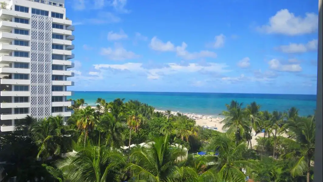 Miami Beach Ocean View Hotel Room