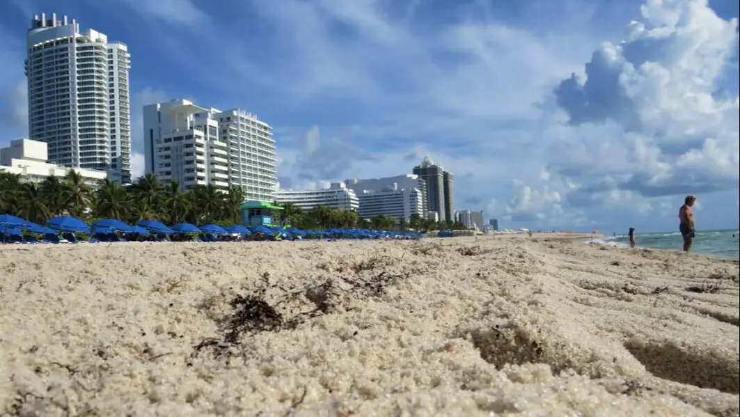 Closeup Miami Beach sand