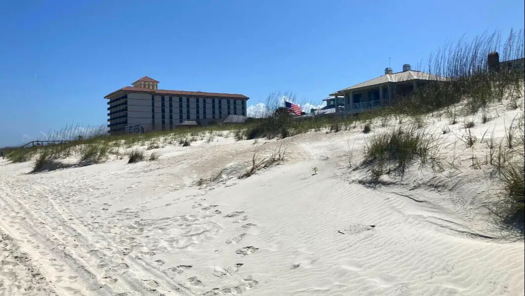Picture of Neptune Beach Sand dunes