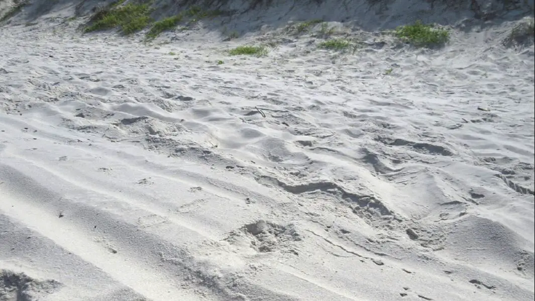 Thick white beach sand with footprints