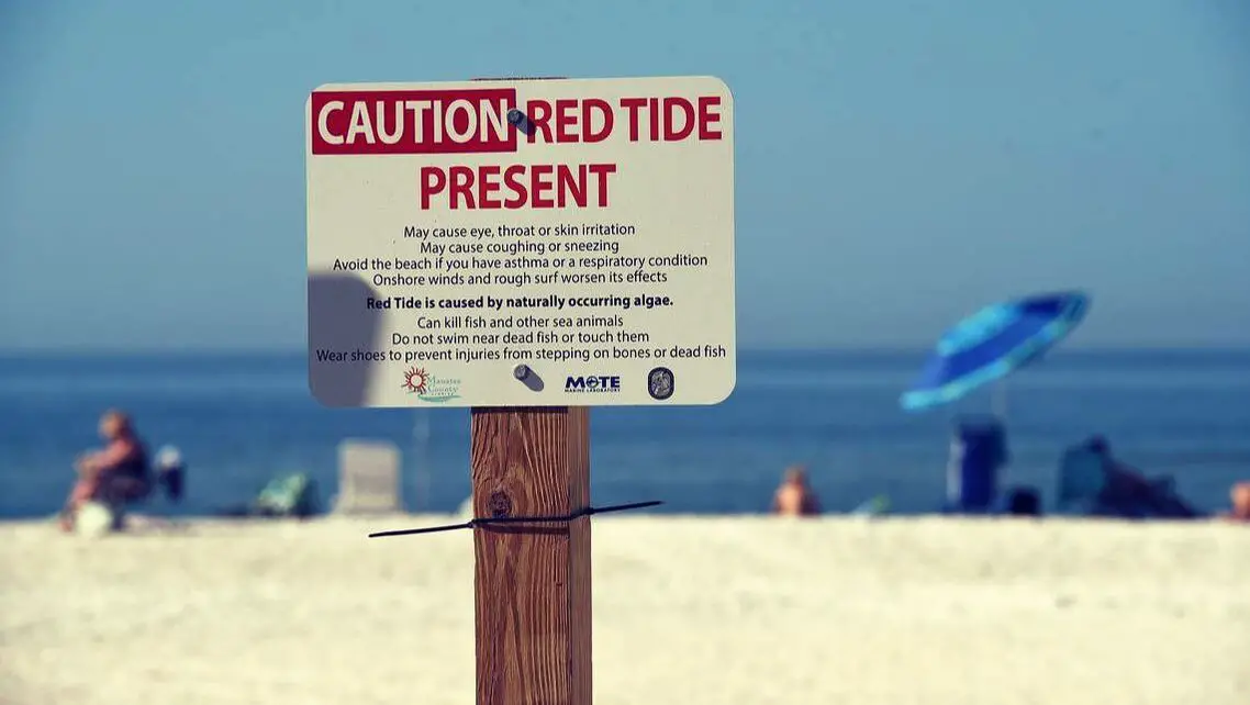 Red Tide warning side on Florida beach