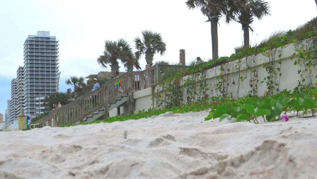Closeup photo of thick sand on Daytona Beach