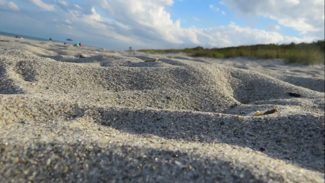 Sand on Melbourne Beach FL