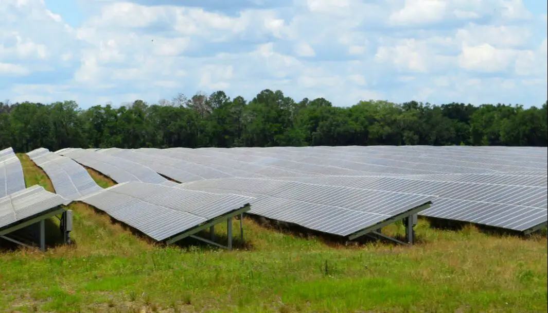 Picture of Florida solar panel farm