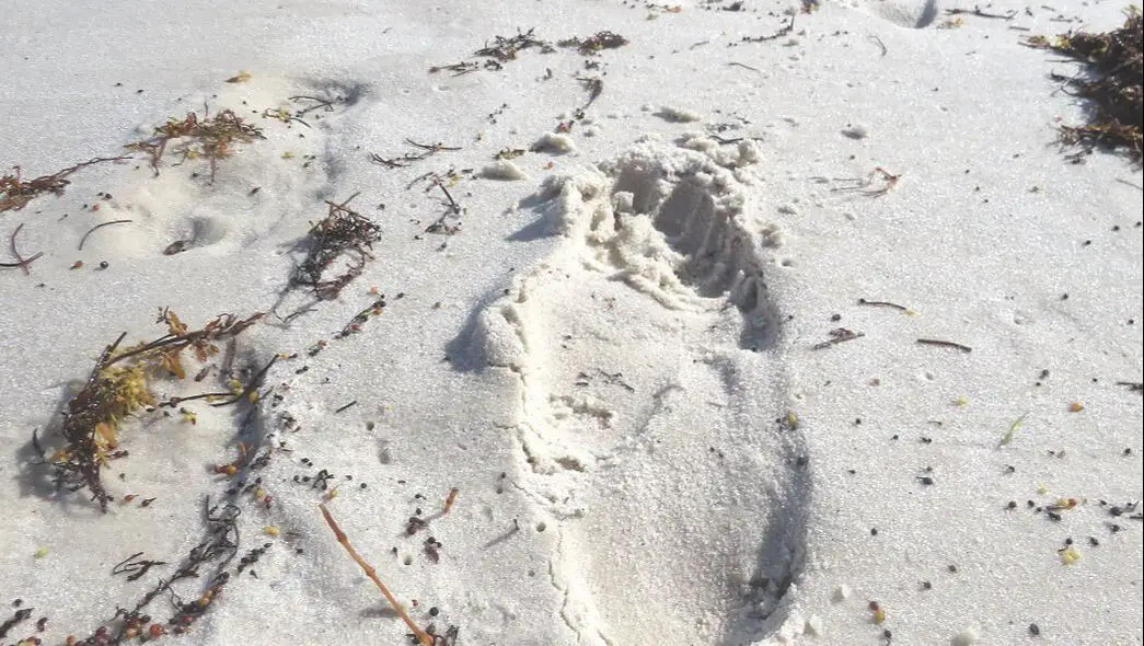 Footprint in South Beach Sand Miami