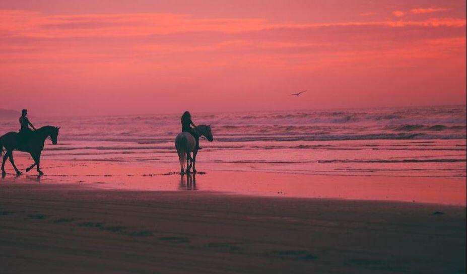 Horseback riders beach Florida