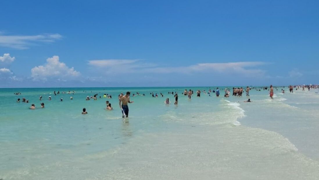 People swimming at Siesta Key Beach