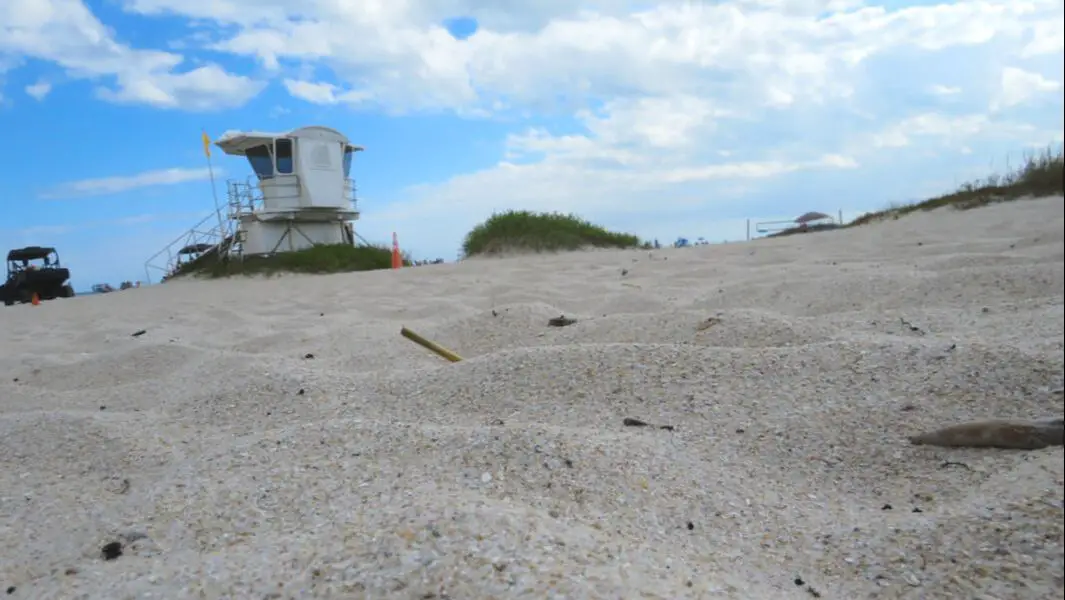 Picture of sand on Vero Beach, FL