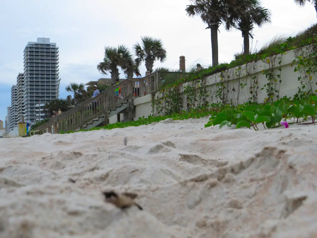 Closeup photo of thick sand on Daytona Beach