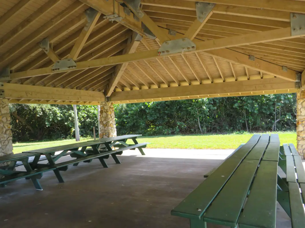 Picture of picnic area in Sand Key Park