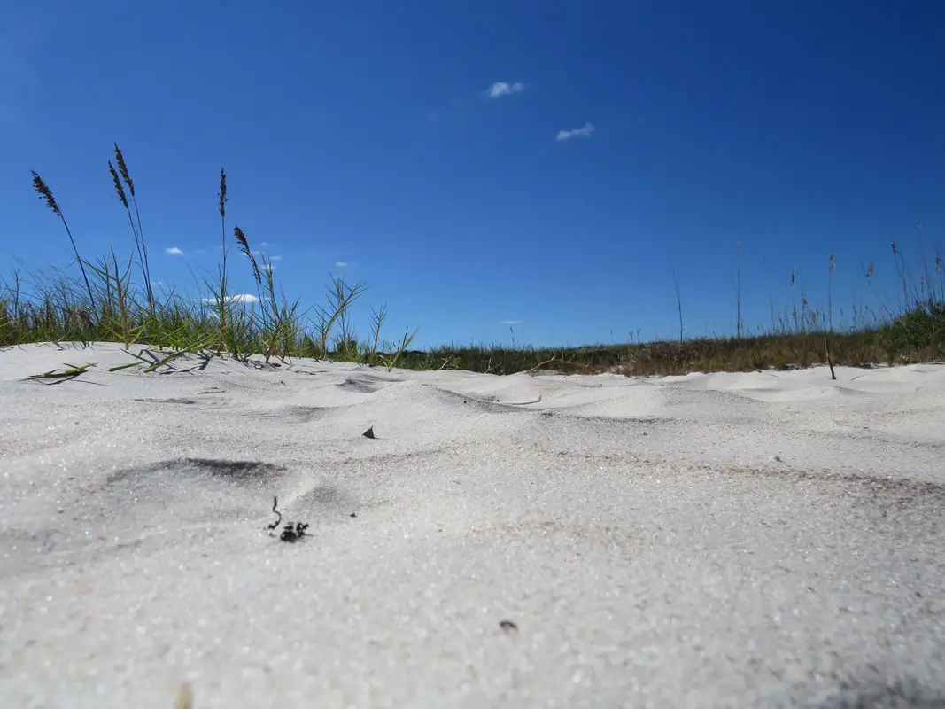 Picture of sand on New Smyrna Beach